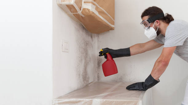 Professional Mold Removal technician working in Hacksneck, VA