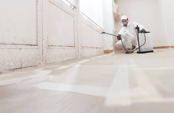 24/7 Emergency Mold Removal experts in Hacksneck, VA